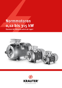 Prospekt Elektromotoren Normmotoren Austausch