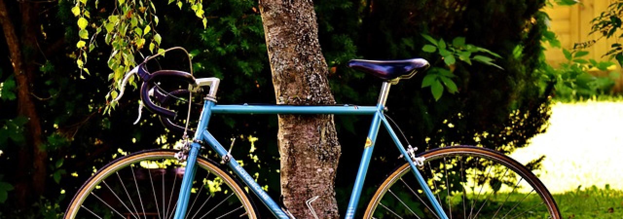 1 Fahrrad