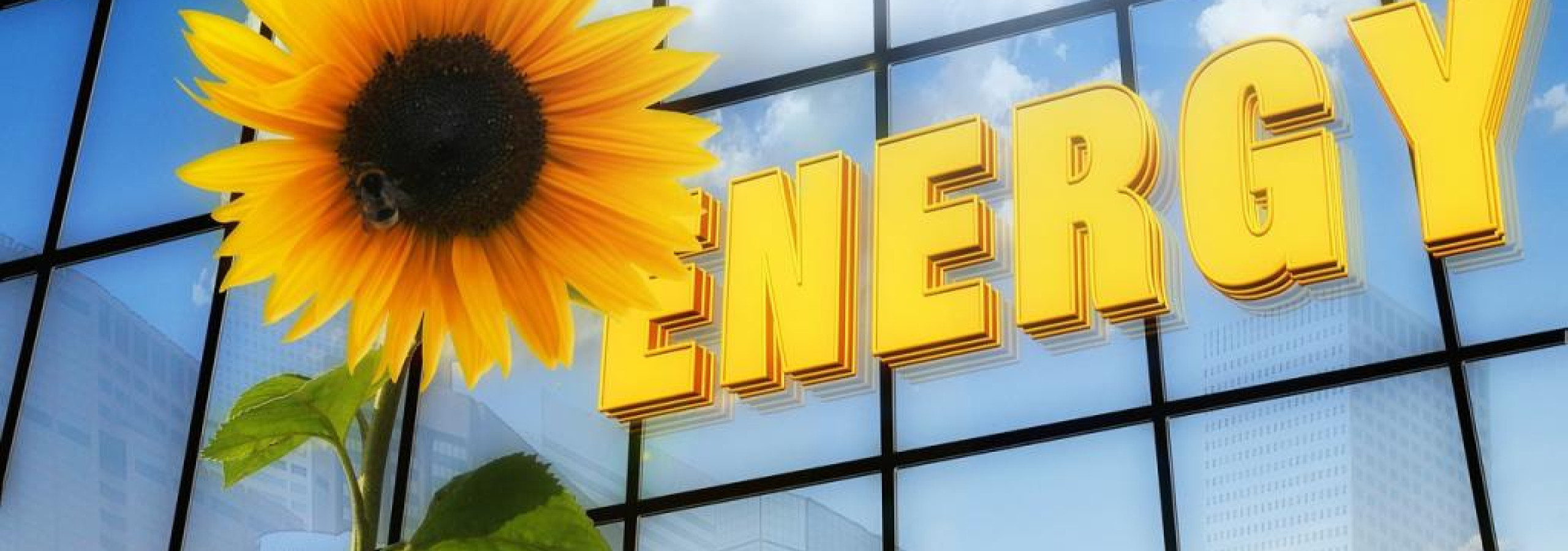 6 Energie