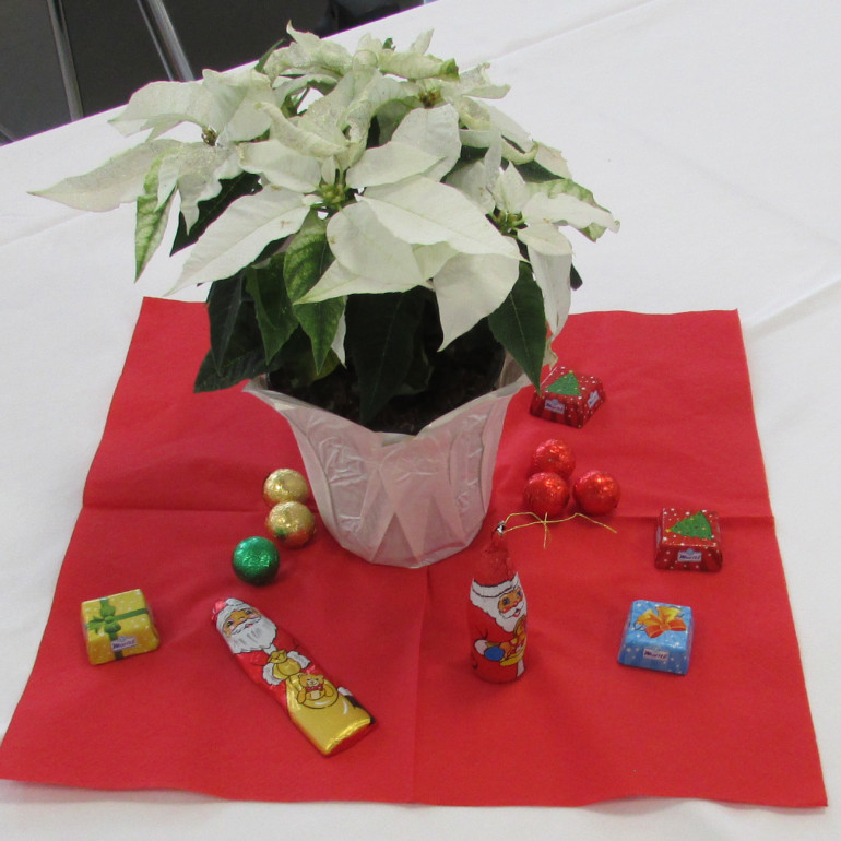 2 Weihnachtsdeko