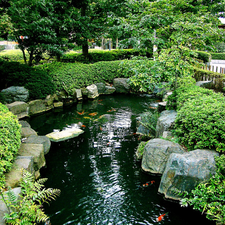 1 Gartenteich