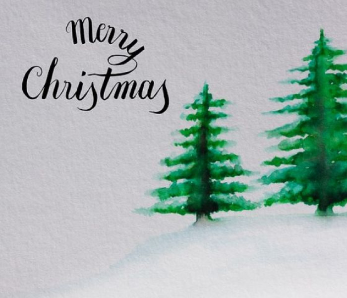Eine schöne Weihnachtszeit und einen Guten Rutsch in das Neue Jahr 2018