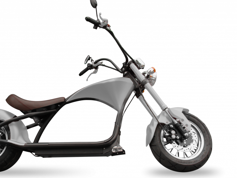 Winter Special e-City Chopper